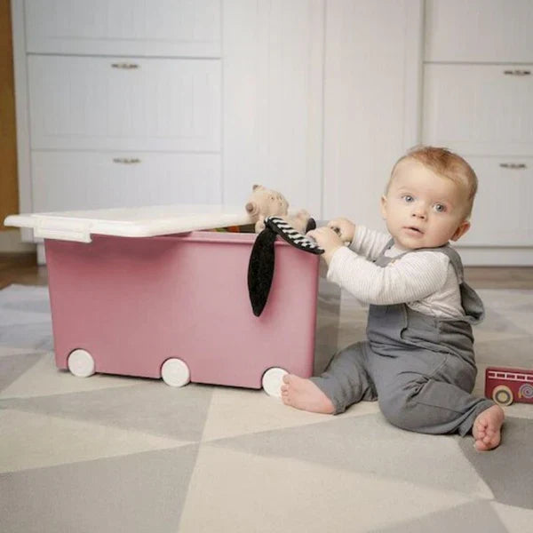 Playbox Storage Box - Maxi Pink